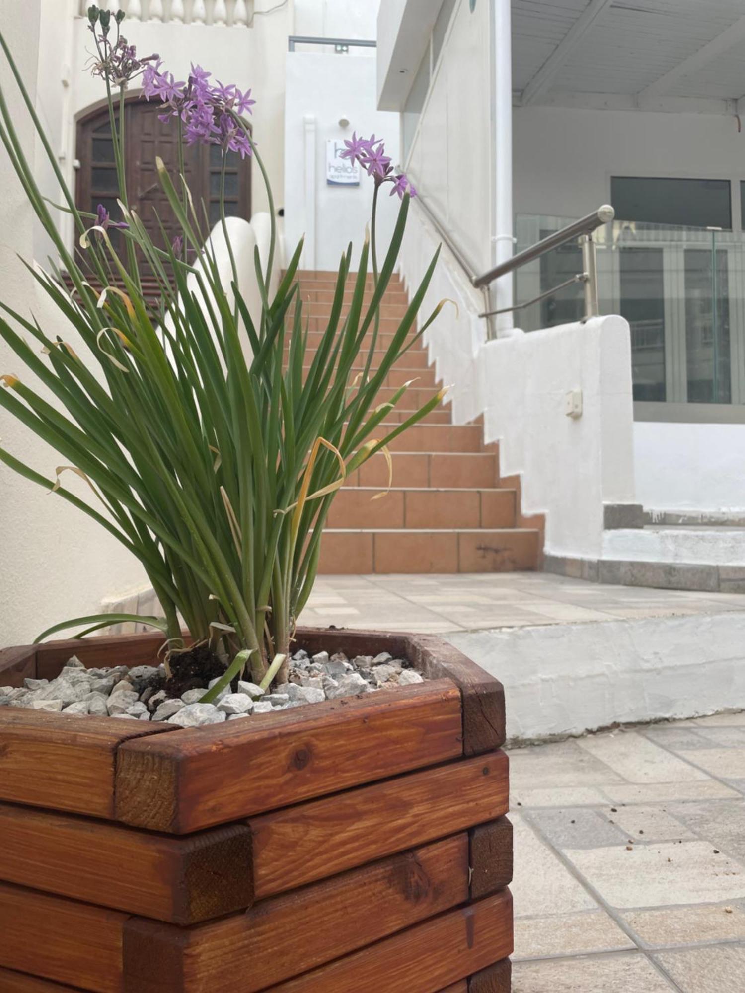Helios Apartments Plakias Ngoại thất bức ảnh